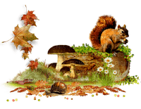 Autumn.Cluster.Scrap.Brown.Green.Red - png gratuito