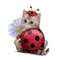 Kaz_Creations Cats Cat Ladybug - PNG gratuit