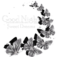 Goodnight butterfly - nemokama png