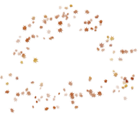 Leaves  Bb2 - png gratuito