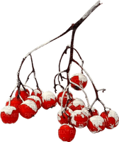 hiver branche Noël décoration_Winter branch Christmas decoration - png gratis
