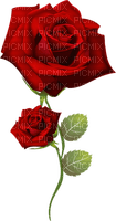 Red rose - zadarmo png