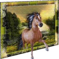 pferd horse milla1959 - Darmowy animowany GIF