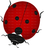 Ladybug-RM - gratis png