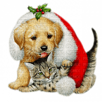 Kaz_Creations Dogs Dog Pup 🐶Cats Cat Kitten - PNG gratuit