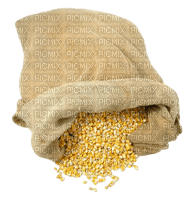 Farm.Bag of maize.Ferme.Victoriabea