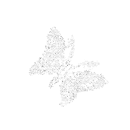 сверкающая бабочка - 免费动画 GIF