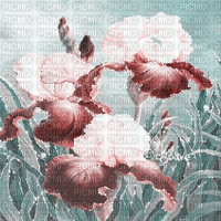 soave background animated flowers iris field - Free animated GIF