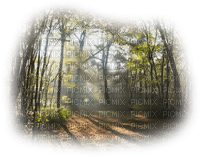 bosque - darmowe png