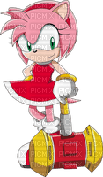 Amy Rose - png gratuito