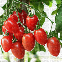 tomaten milla1959 - Gratis geanimeerde GIF