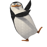 madagascar pengu - Free PNG