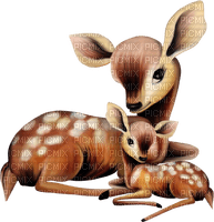 deer bambi - бесплатно png