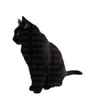 Kaz_Creations Cats Kittens Cat Kitten - PNG gratuit