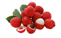 fruit lychee bp - Free PNG