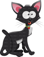 chaton - 免费PNG