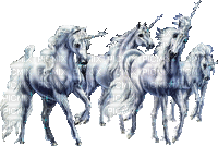 Unicorn, licorne, Einhorn - Zdarma animovaný GIF