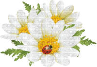 fleur - Безплатен анимиран GIF