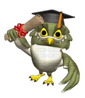 owl bp - GIF animado gratis