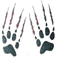 claws - darmowe png