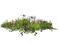 flower/shrub - ingyenes png