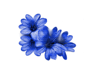 Kaz_Creations Flowers Blue - 免费PNG