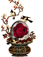 Flowers red rose bp - 免费动画 GIF