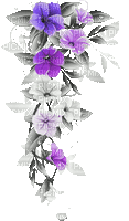soave deco branch flowers animated black white - Free animated GIF
