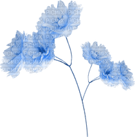 blume flowers - ücretsiz png