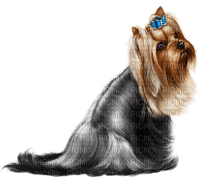 dog by nataliplus - kostenlos png