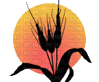 Sanset - Zdarma animovaný GIF