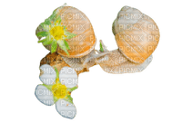flower, snail - PNG gratuit