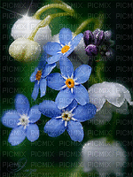 FLOWERS - 免费动画 GIF