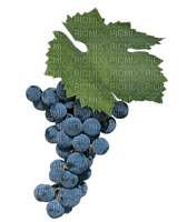 grapes bp - zadarmo png