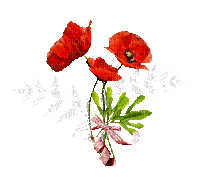 Blumen red - Бесплатни анимирани ГИФ