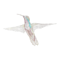 hummingbird - 無料png