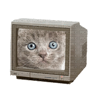 chat télé - Gratis animeret GIF