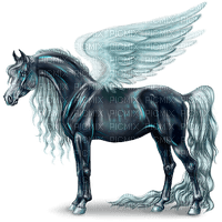 Pegasus - ilmainen png