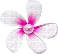 Flower.Pearl.Pink.White - kostenlos png