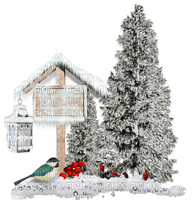 winter trees snow - PNG gratuit