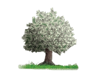 money tree bp - bezmaksas png