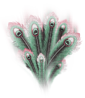 soave deco peacock feathers pink green - безплатен png