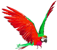 Parrot.Red.Green - PNG gratuit
