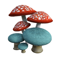 mushrooms, sienet, syksy, autumn, luonto, naure - png grátis