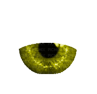 Half Eyes, Yellow, Gif, Animation - JitterBugGirl