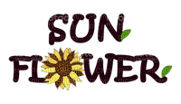 loly33 texte sunflower - PNG gratuit