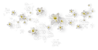 White Flowers - gratis png