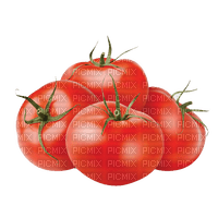 nbl-tomato - 免费PNG