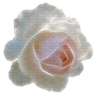 image encre couleur anniversaire mariage texture fleur rose edited by me - Free PNG