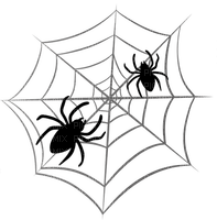 web with spider by nataliplus - nemokama png